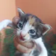 Raissa