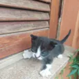 Tina