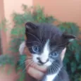 Tina