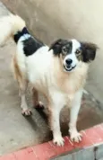 Bernardo