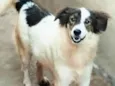 Bernardo