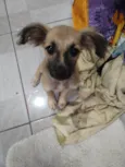 Pequenina