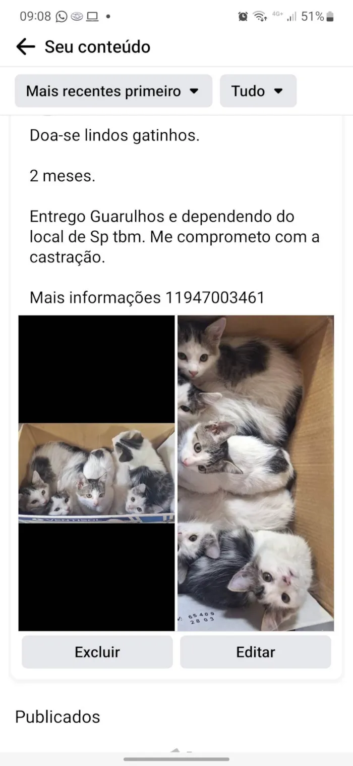 Gato ra a S idade Abaixo de 2 meses nome Gatinhod