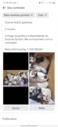 Gatinhod
