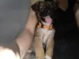 Lua