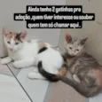 Sem nome definido 
