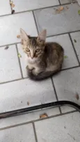 Lilica