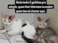 Sem nome definido 