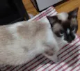 Sabrina
