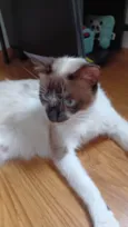 Sabrina