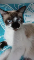 Sabrina