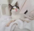 Bob