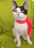 Bob