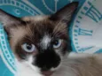 Sabrina