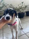 Lola