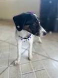 Lola