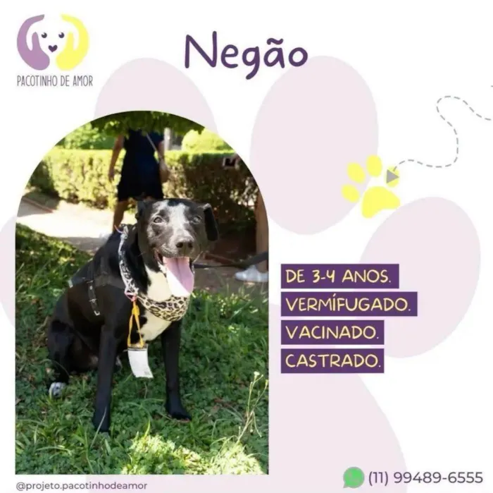 Cachorro ra a SRD idade 3 anos nome Negão