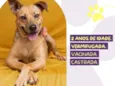 Caramela