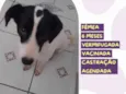 Isadora