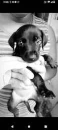 Lua,fred,Bob,mel,Lala,bela