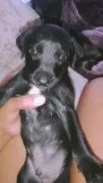 Lua,fred,Bob,mel,Lala,bela