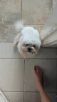 Geraldinho
