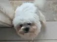 Geraldinho