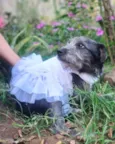Nina