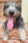 Nina