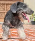 Nina