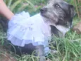 Nina