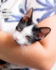 DIGUINHO