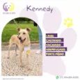 Kennedy