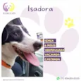 Isadora 