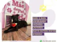 Aquiles