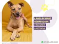 Caramela