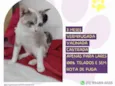 Elba