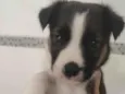 Vakinha