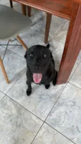 Lola