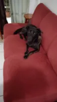 Lola