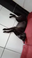 Lola