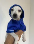 Banzé 