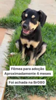 Matilde