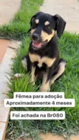 Matilde