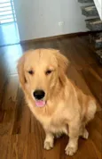 Marley