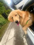 Marley