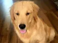 Marley