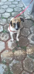 Nina