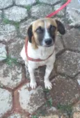 Nina