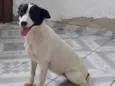 Isadora